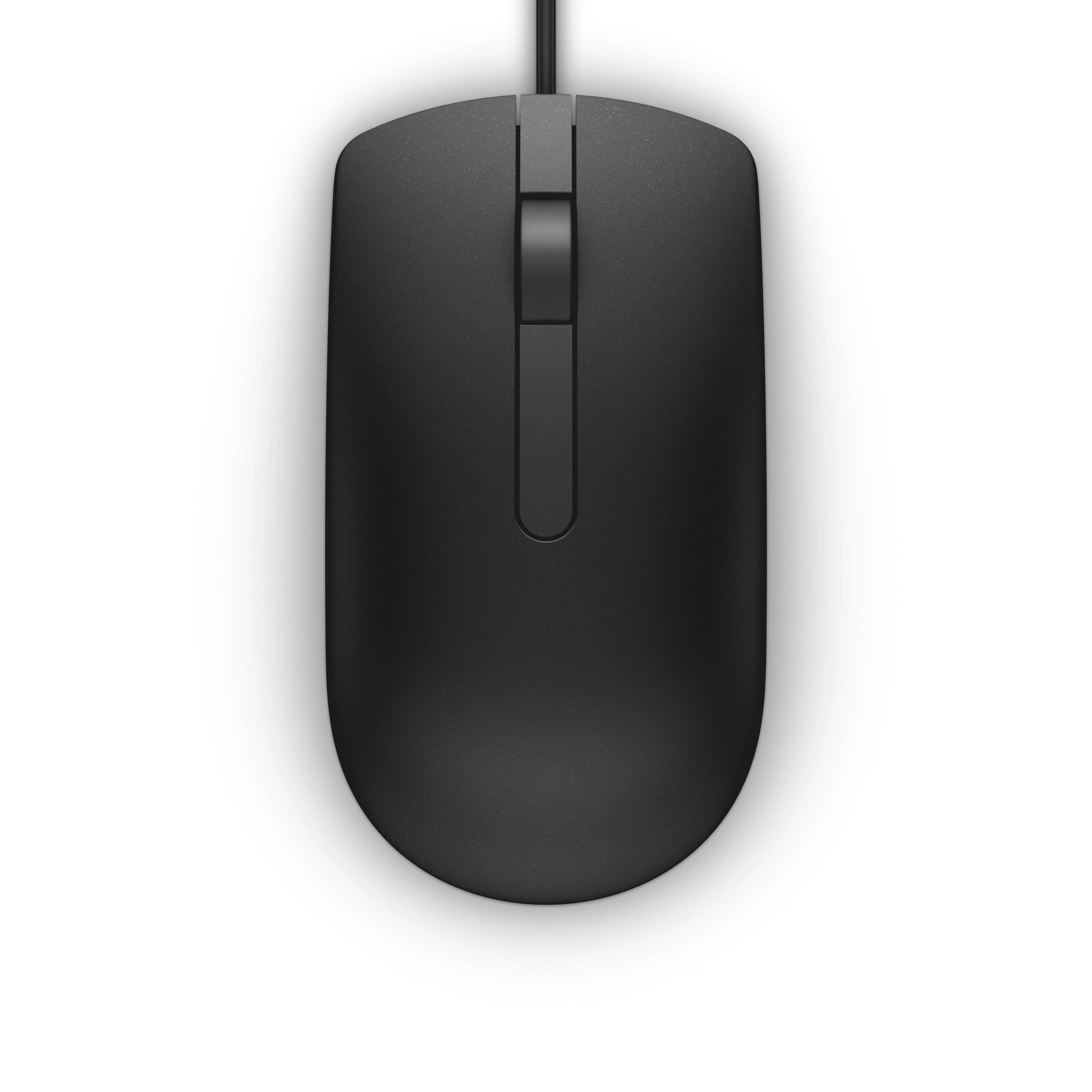 DELL MS116 ratón Oficina Ambidextro USB tipo A Óptico 1000 DPI