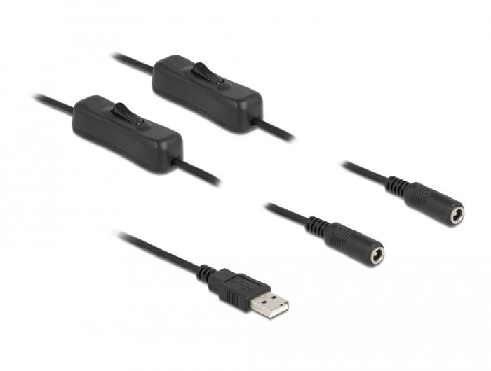 DeLOCK Cable USB Tipo-A macho a 2 x DC 5,5 x 2,1 mm hembra con interruptor 1 m