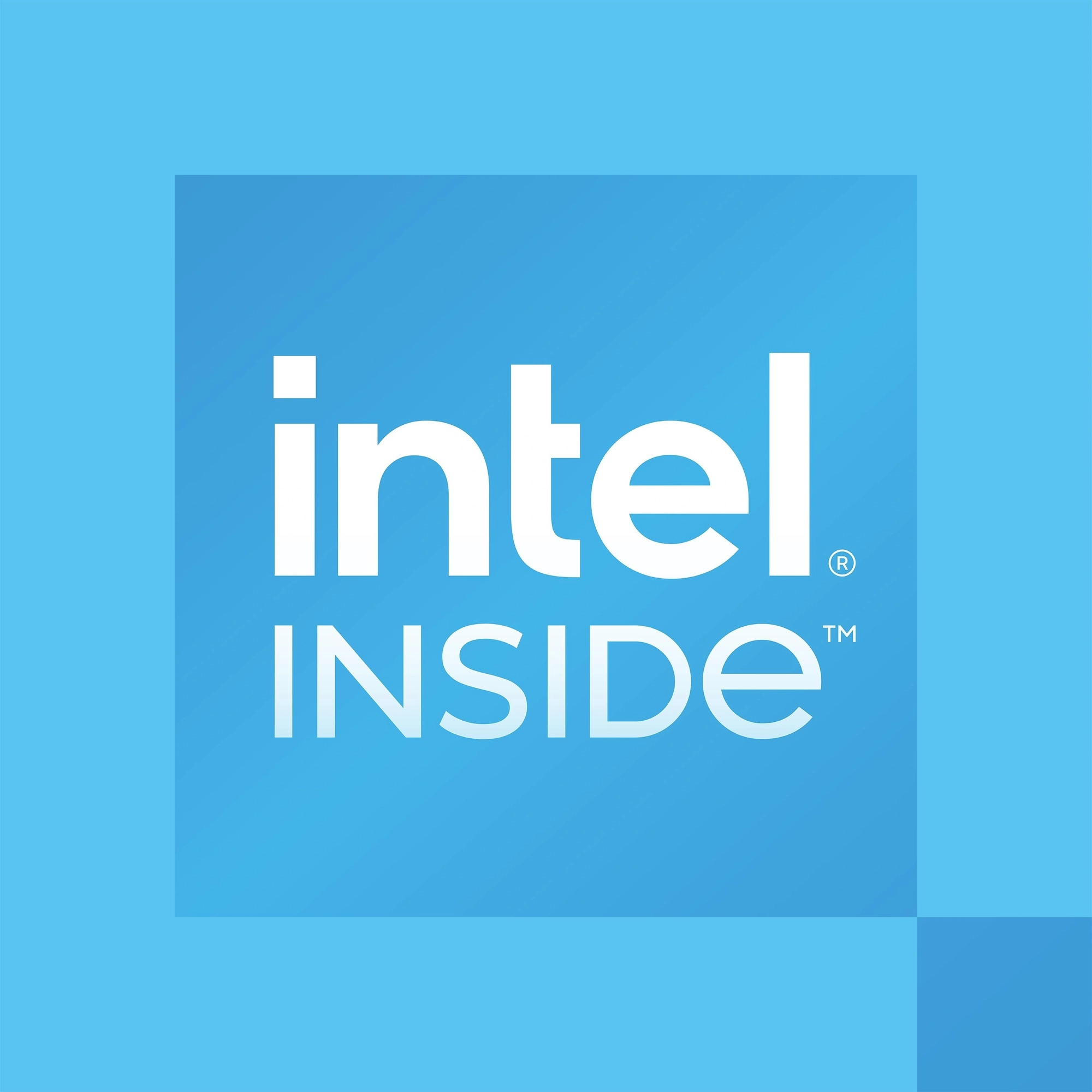 Intel 300 procesador 6 MB Smart Cache
