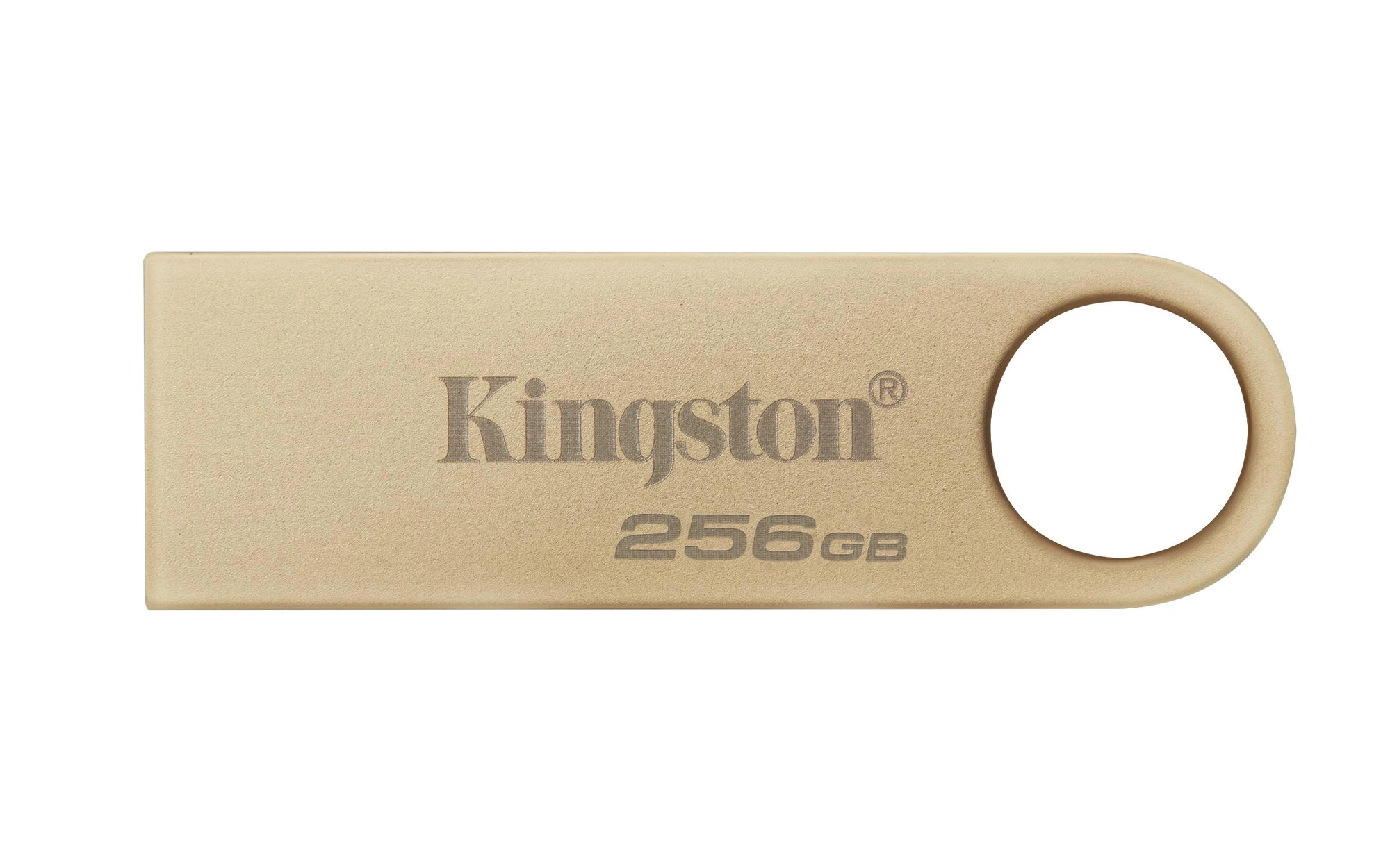 Kingston Technology DataTraveler 256GB 220MB/s Unidad USB 3.2 Gen 1 Metálica SE9 G3