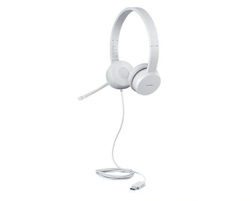 Lenovo GXD1E71385 auricular y casco Auriculares Alámbrico Muñeca Llamadas/Música USB tipo A Gris