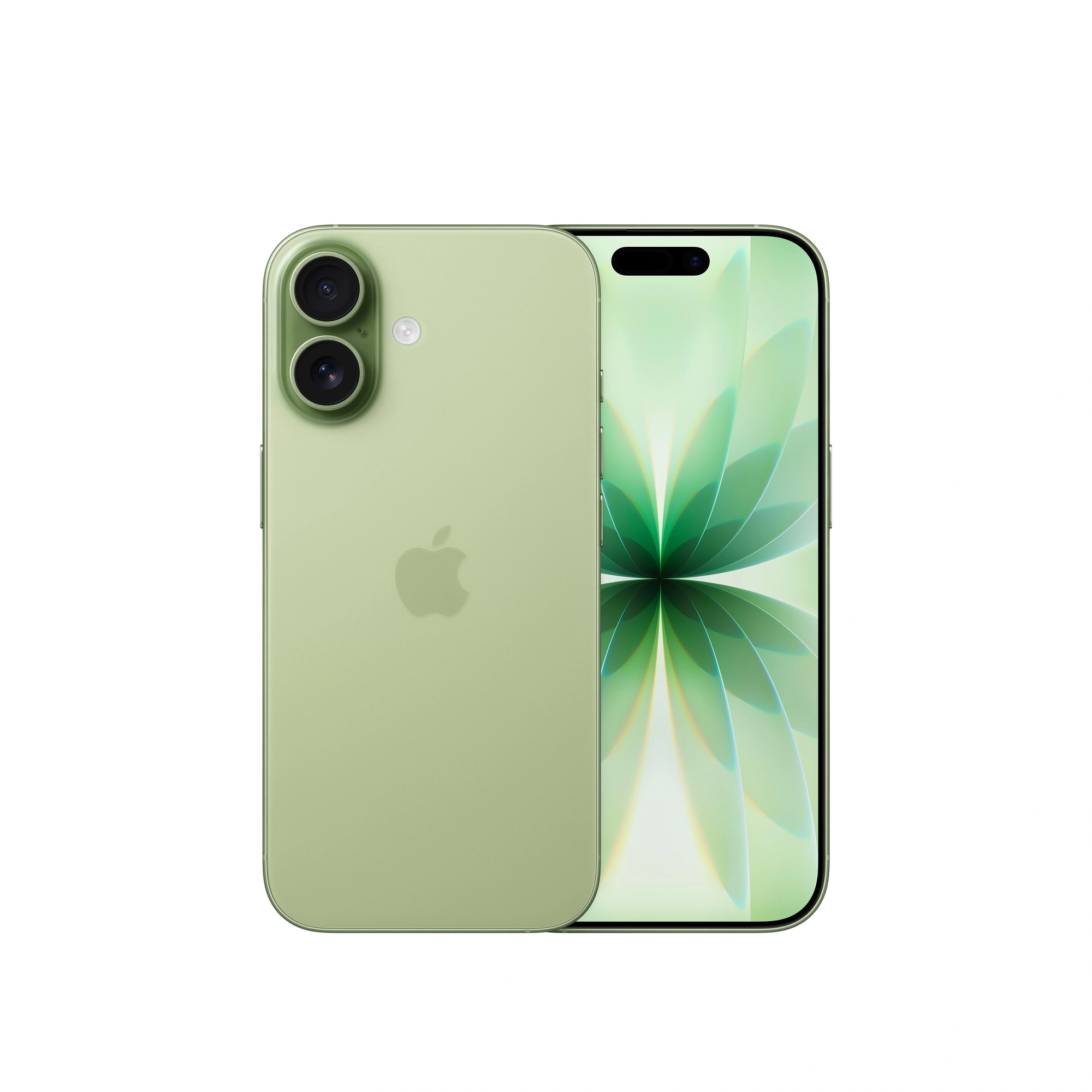 Apple iPhone 17 16 cm (6.3") SIM doble iOS 26 5G USB Tipo C 512 GB Salvia