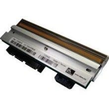 Zebra P1004237 cabeza de impresora Transferencia térmica