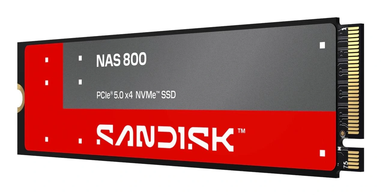 SanDisk NAS 800 3,84 TB M.2 PCI Express 5.0 NVMe 3D TLC NAND